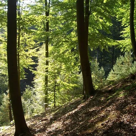 Bel Etage Im Oderbruch - Märkische Schweiz - Kurort - Fontanestadt Apartment