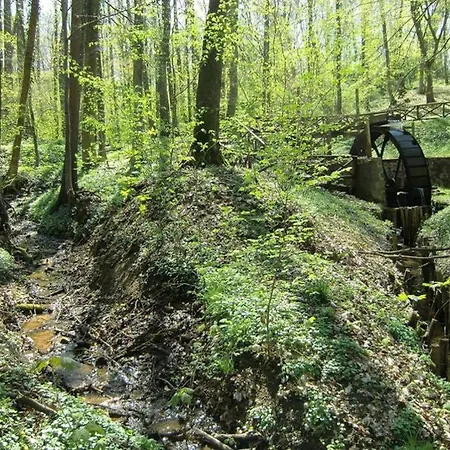 Bel Etage Im Oderbruch - Märkische Schweiz - Kurort - Fontanestadt Bad Freienwalde